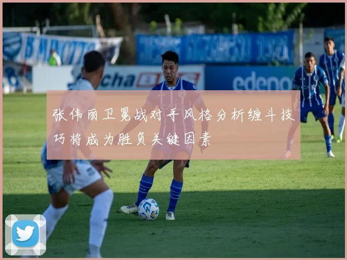 张伟丽卫冕战对手风格分析缠斗技巧将成为胜负关键因素