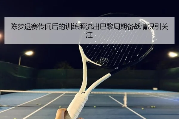 陈梦退赛传闻后的训练照流出巴黎周期备战情况引关注