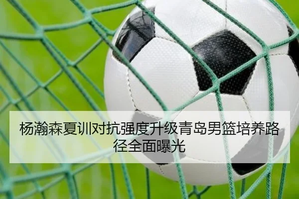 杨瀚森夏训对抗强度升级青岛男篮培养路径全面曝光